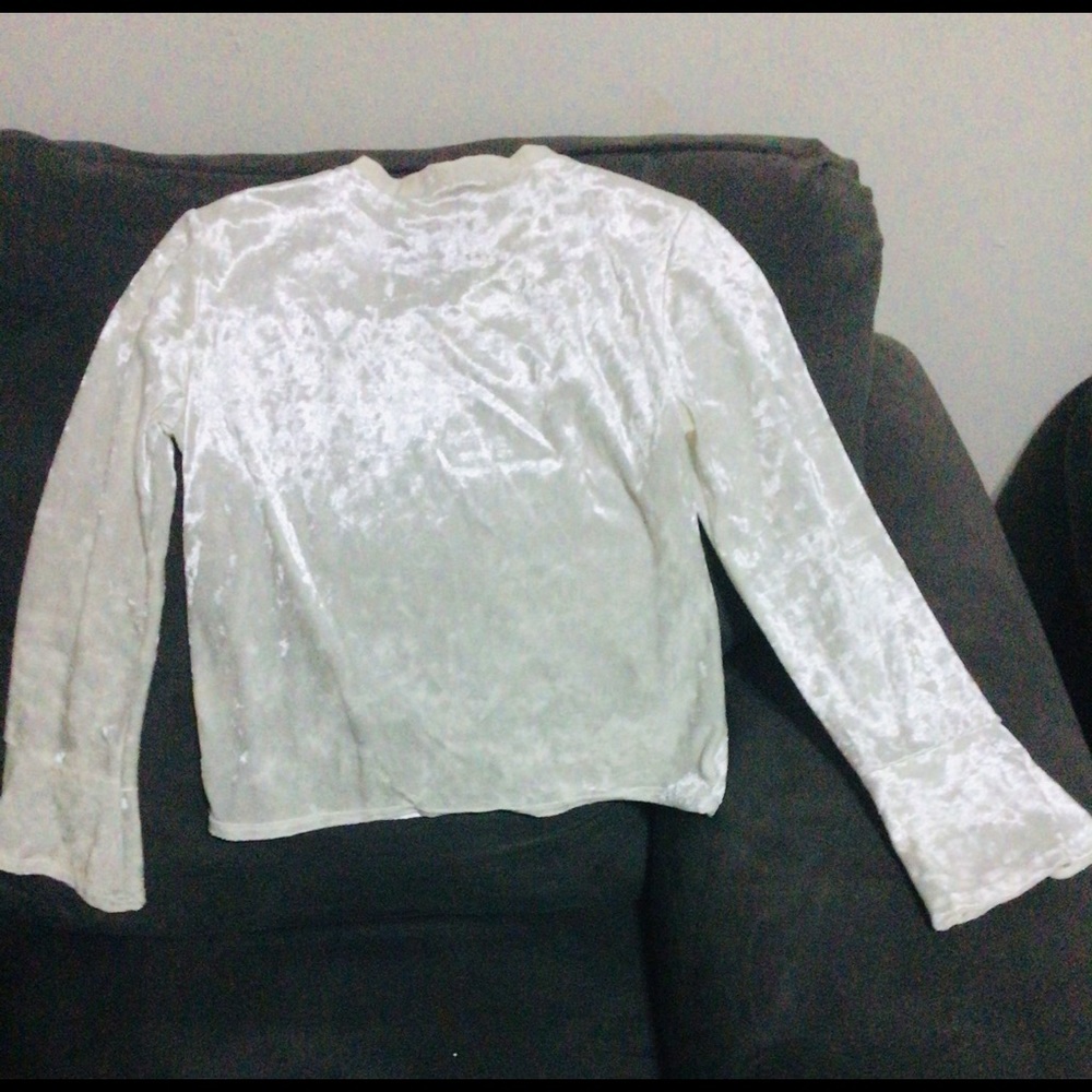 Velvet Long Sleeves Top